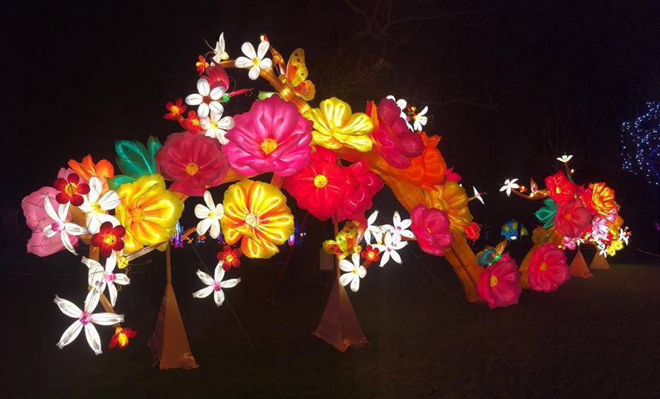 Beautiful Flowers, Magical Lantern Festival @ Chiswick House & Gardens