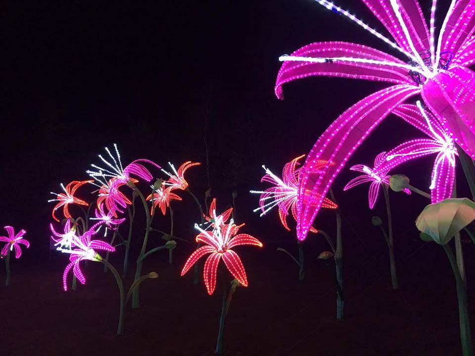 Beautiful Flowers, Magical Lantern Festival @ Chiswick House & Gardens