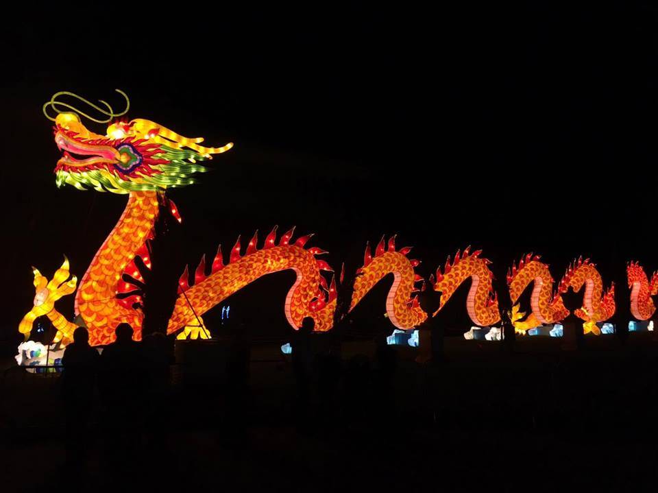 Dragon, Magical Lantern Festival @ Chiswick House & Gardens